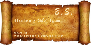 Blumberg Sólyom névjegykártya